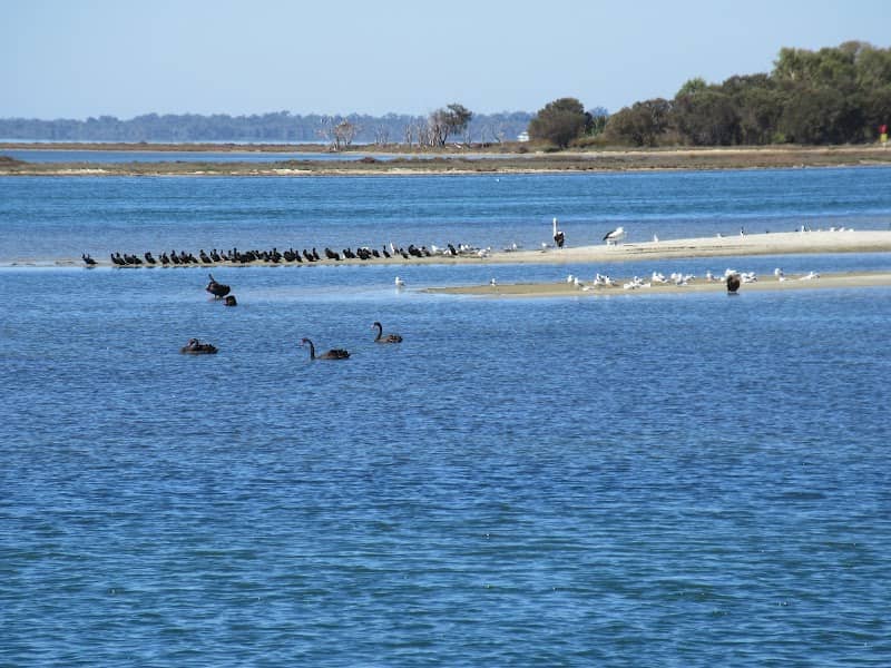 Osprey Waters Foreshore Reserve - Image 2