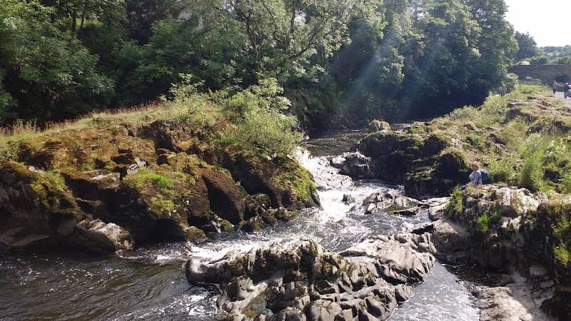 Cenarth Falls - Image 3