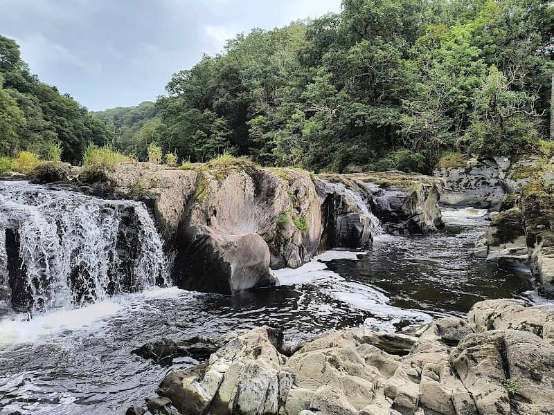Cenarth Falls - Image 2
