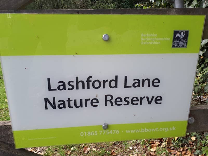 Lashford Lane Nature Reserve - Image 1