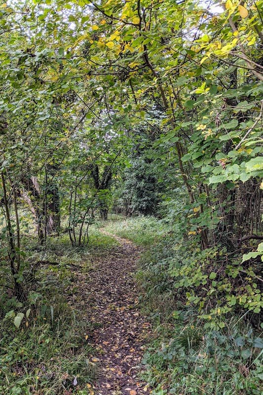 Lashford Lane Nature Reserve - Image 2