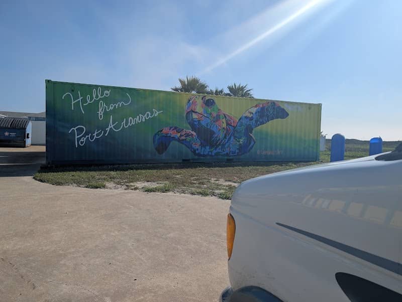 Turtle Port Aransas mural - Image 1