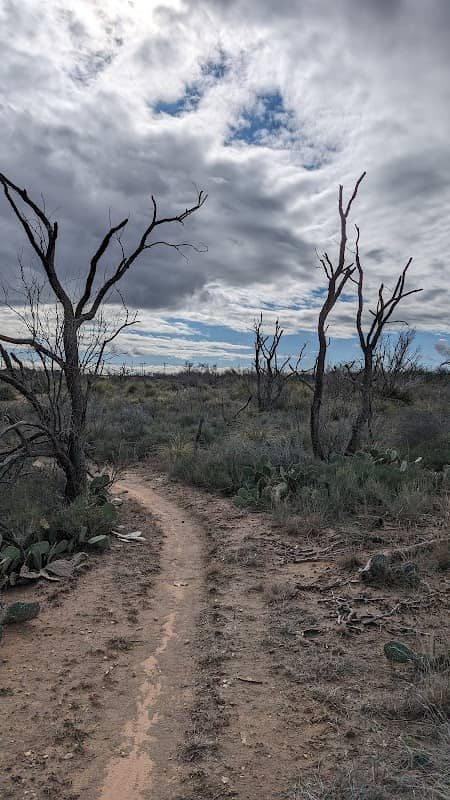 Dinosaur and Shady Trailhead - Image 1