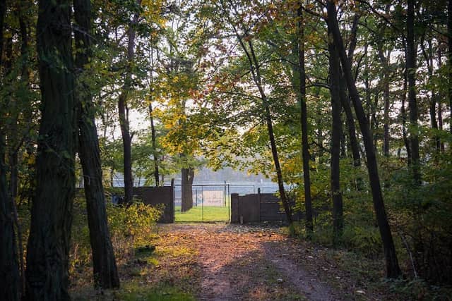 Stary Konin - Park - Image 1