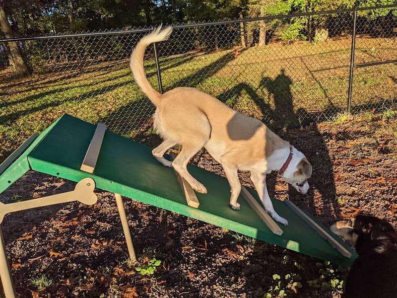 Dog Park at Heritage Park - Image 1