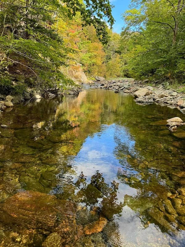 Acadian Trailhead - Image 3