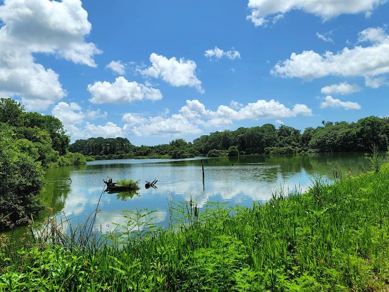 Woody Pond - Image 1