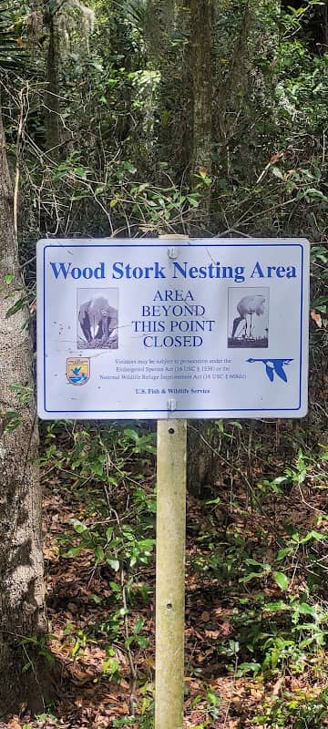 Woody Pond - Image 2