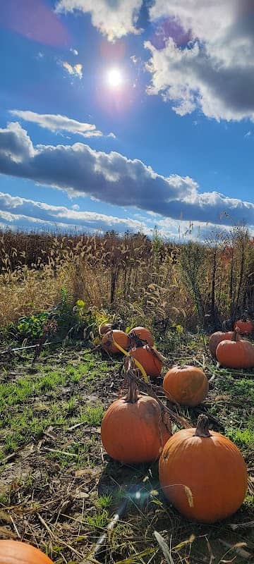 Detwiler Farm - Image 2