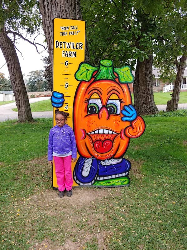 Detwiler Farm - Image 1