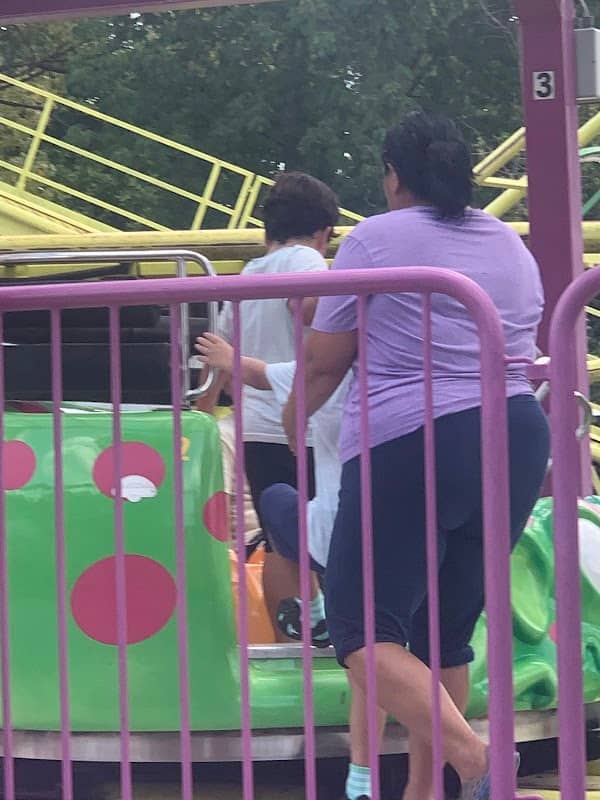 Wild Mouse - Image 1
