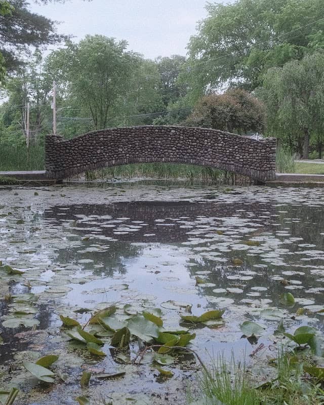 Frog Pond - Image 1