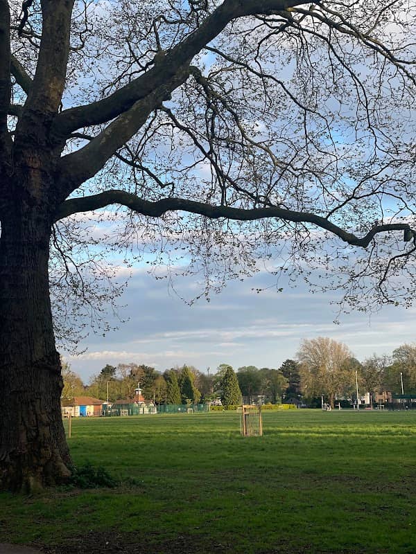 Normanton Park - Image 2