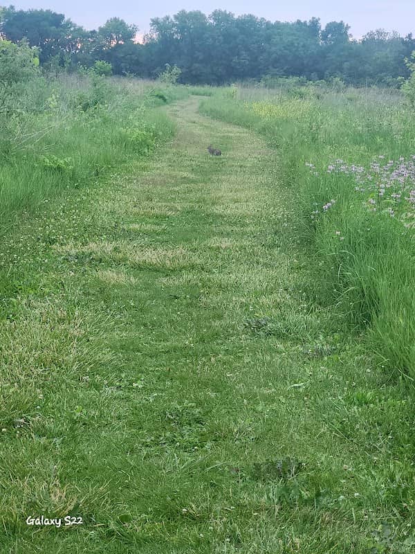 Freeman Prairie - Image 2
