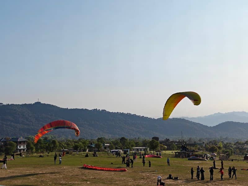 Landing zone field - Image 1