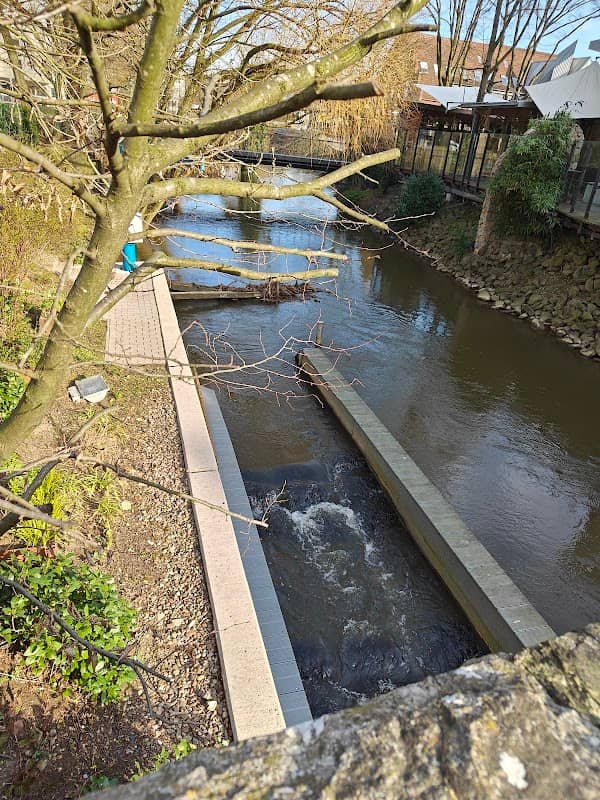 Fischtreppe, Osnabrück - Image 2