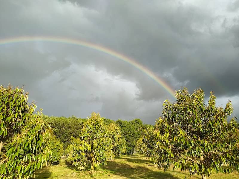 สวนน้องนินาสวยที่สุดของจริง - Image 1
