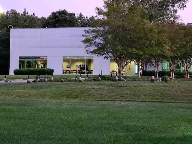 Head of Big Creek Greenway - Alpharetta - Image 1