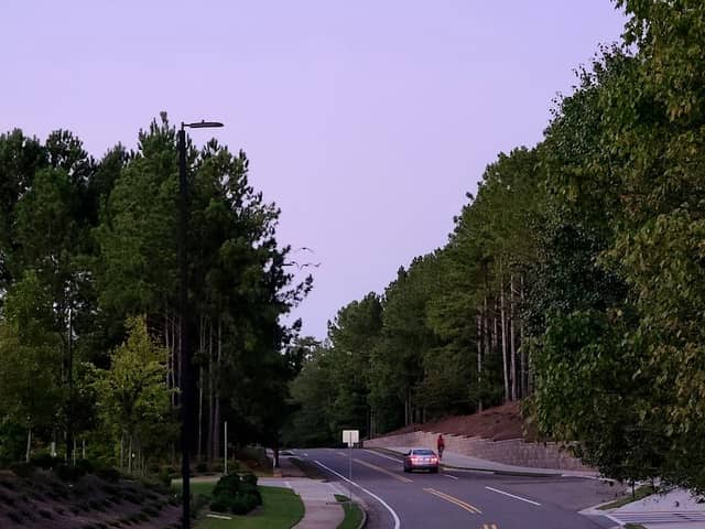 Head of Big Creek Greenway - Alpharetta - Image 3