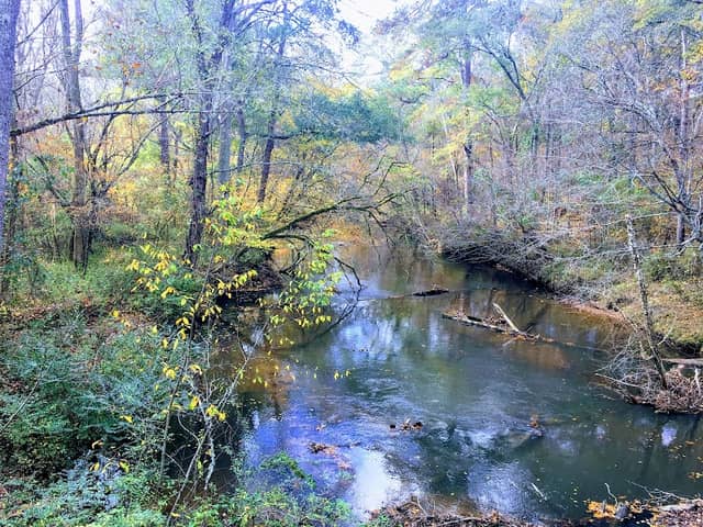 Head of Big Creek Greenway - Alpharetta - Image 2
