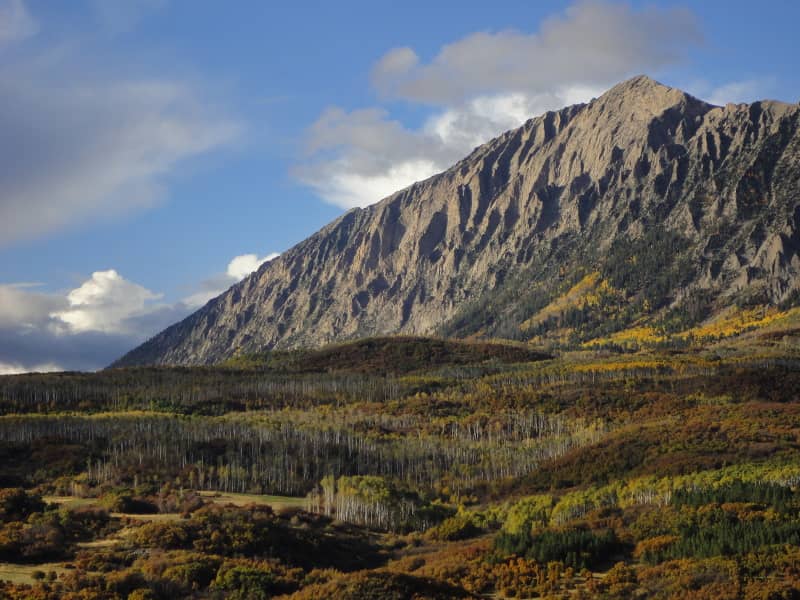 Ragged Wilderness - Image 3