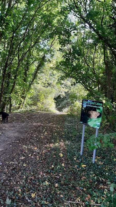 Hunt End Nature Reserve - Image 2