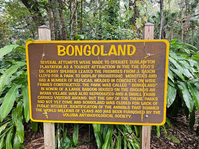 Bongoland Ruins - Image 3