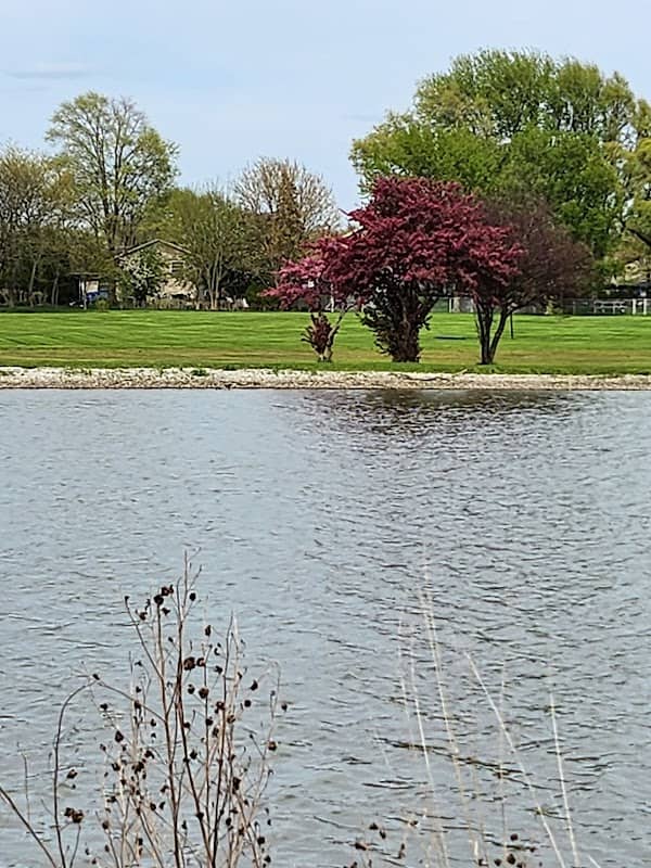 Hecht Park - Image 2