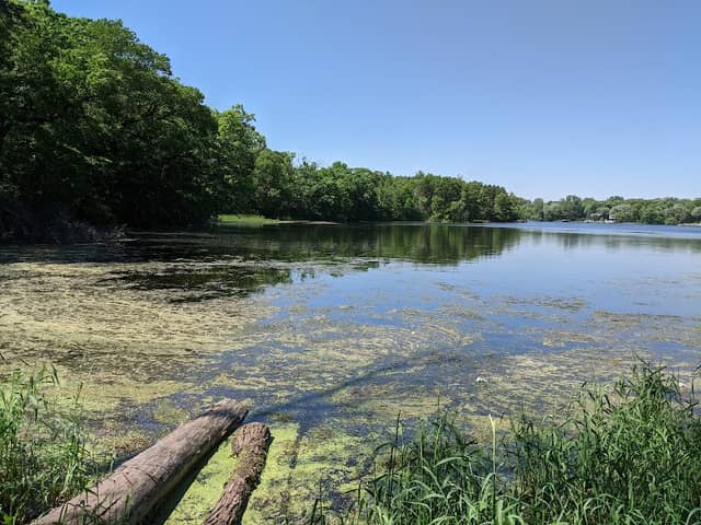 Alimagnet Park - Image 1