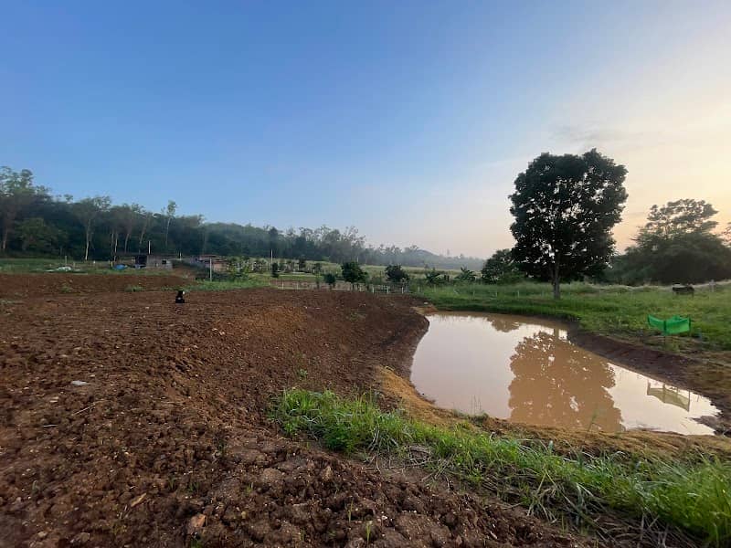 Safe Zone Farm Khaoyai - Image 1