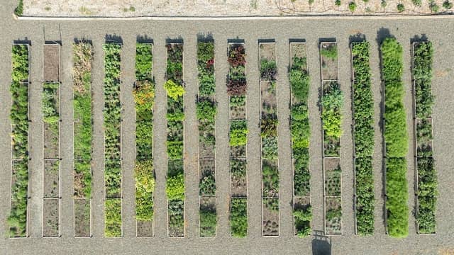Terrace Hill - Image 1
