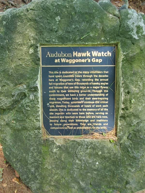 Waggoner's Gap Hawk Watch - Image 2