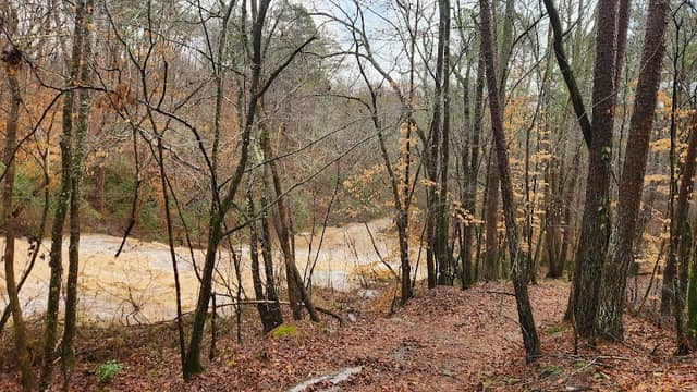 2701 Wilson Shoals Park - Image 2