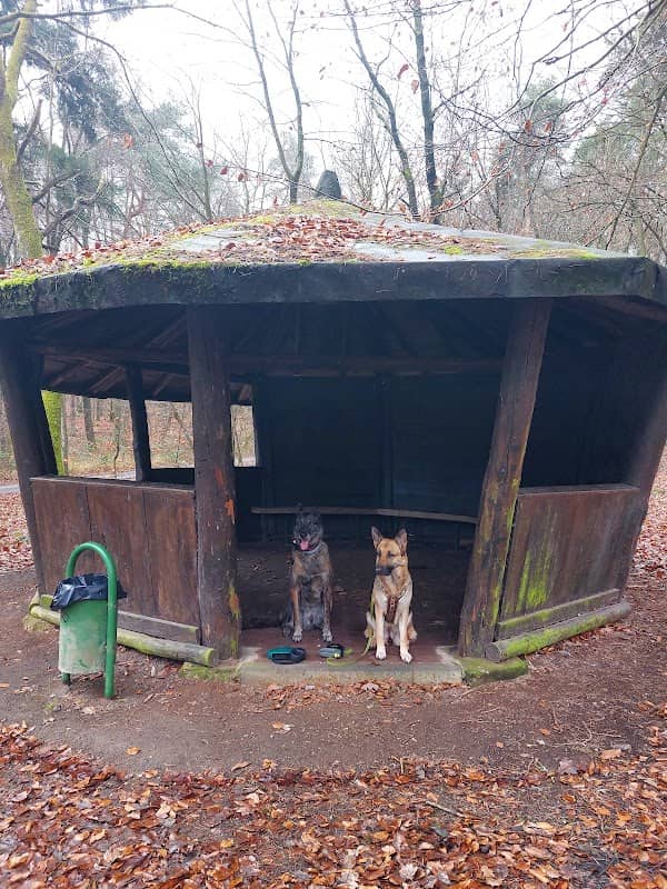 Schutzhütte Friedrichweiler - Image 1