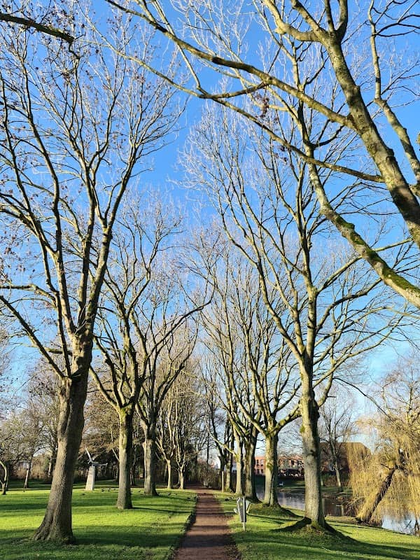 Stadspark - Image 1
