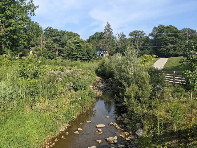 Big Walnut Trail - Image 2