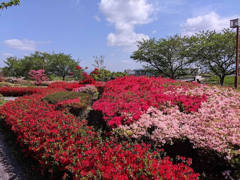 Kurume Hyakunen Park - Image 1
