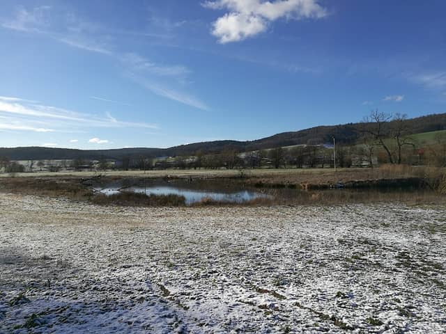 Storchennest Altarm - Image 1