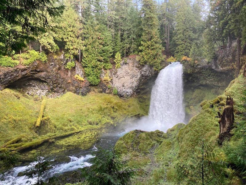 Umbrella/Sahalie Falls Trailhead - Image 1