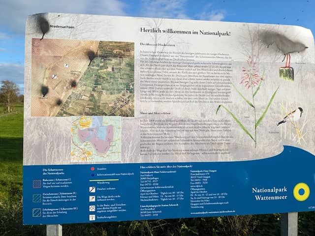 Schwimmendes Moor - Image 1