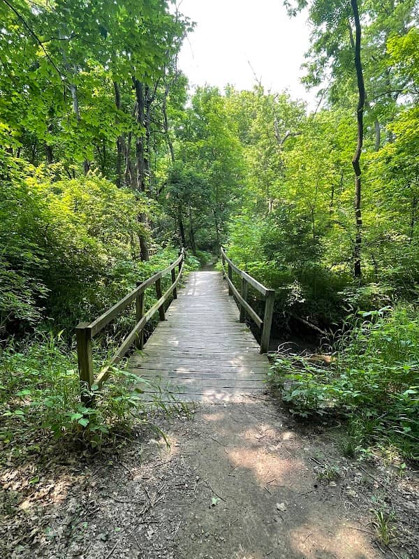 Lewis Park and Trails - Image 1