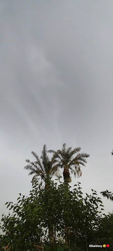 الاراضي - Image 1