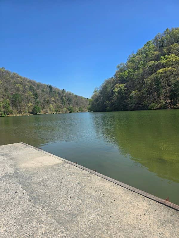 Edge of trail - Image 1
