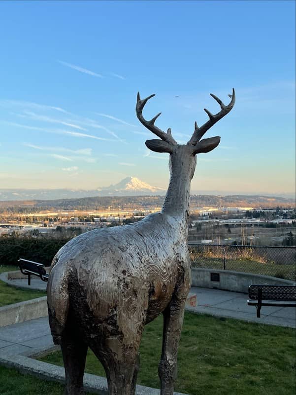 Centennial Viewpoint Park - Image 1