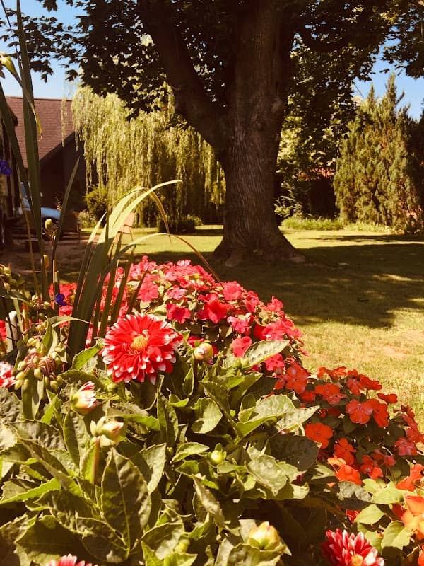 Harrison Park - Image 2