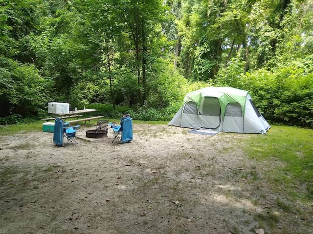 Pettigrew State Park Campground - Image 2