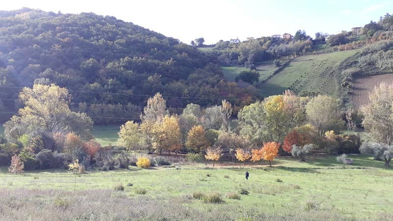 Orto Botanico dell'Università Politecnica delle Marche - Image 1