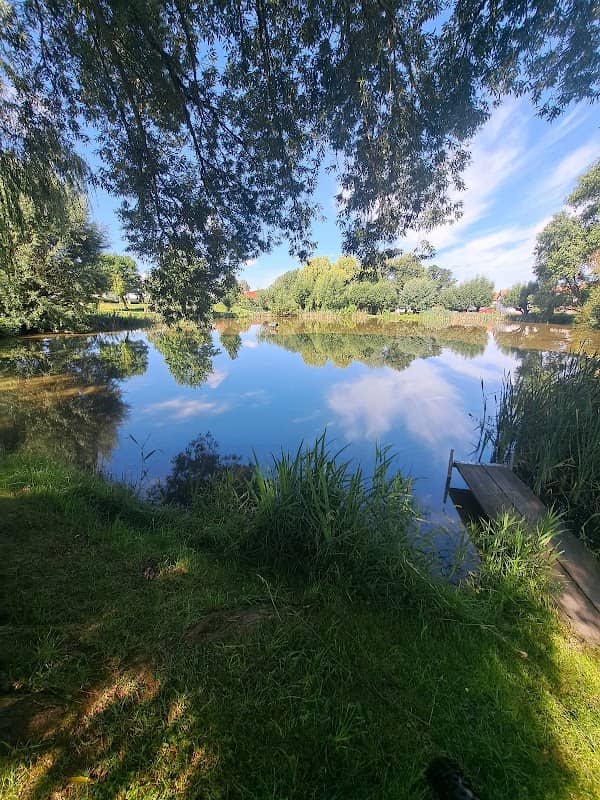 Dorfteich in Günterode - Image 1