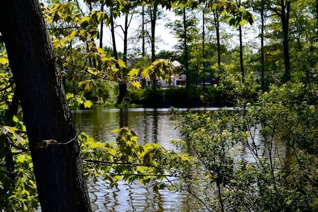 Susan Hambley Nature Center - Image 1