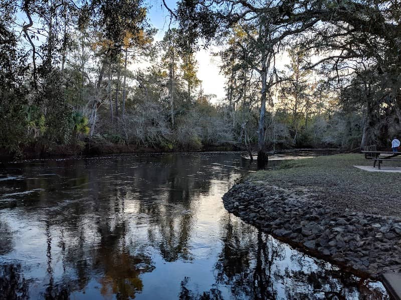 Steinhatchee Falls - Image 1